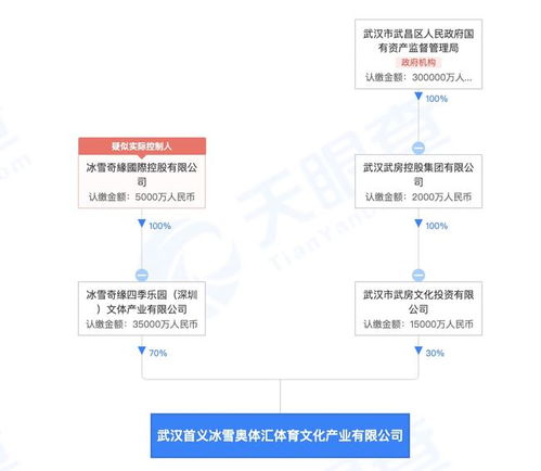 武汉首义冰雪奥体汇 冰雪奇缘四季乐园与人工智能服务的创新融合